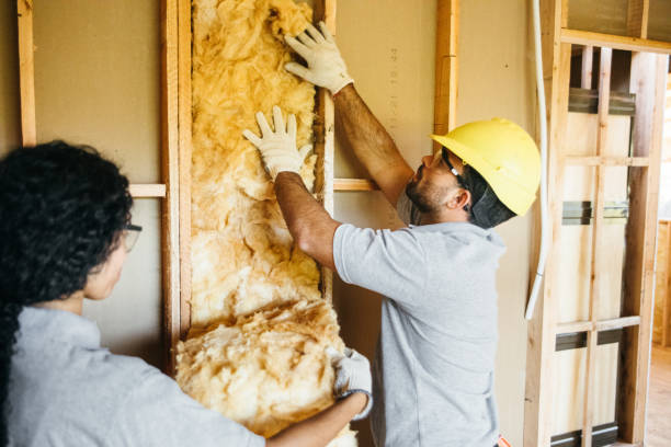 Best Insulation Removal  in USA